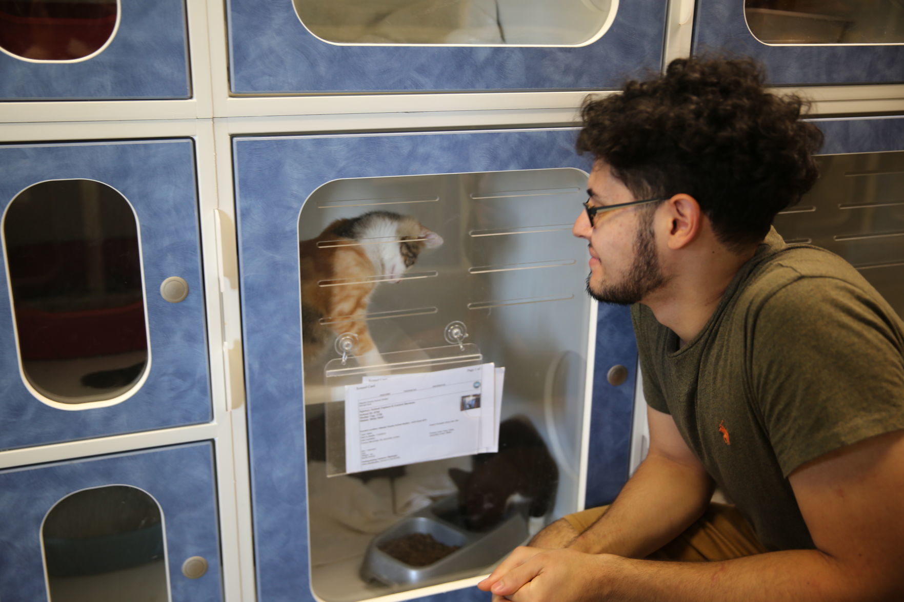 Atlantic County Animal Shelter's Clear the Shelter event Satuday, Aug. 17, 2019. The event runs through Sunday, Aug. 18.